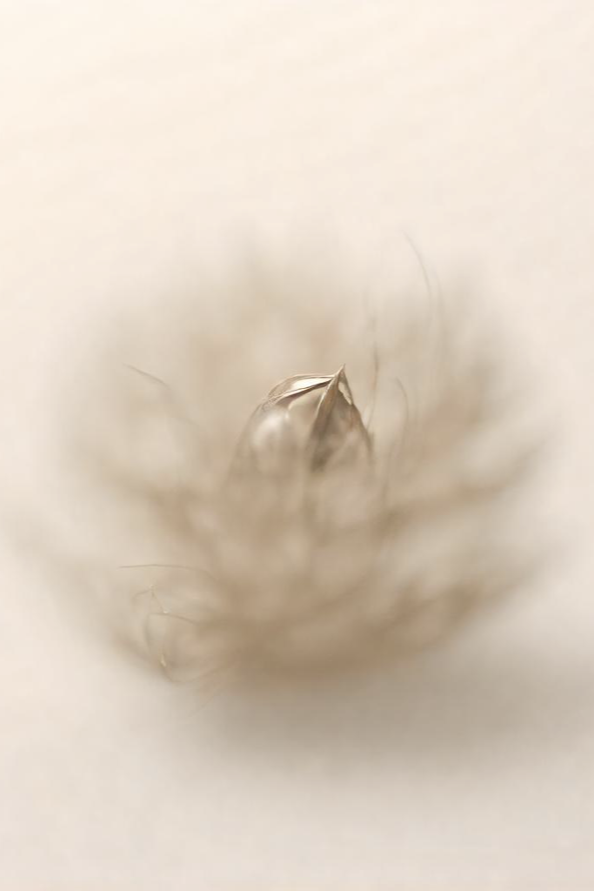 Beyond the Visible visual 1